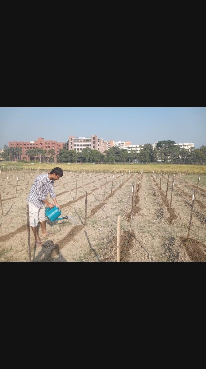 Watering plots
