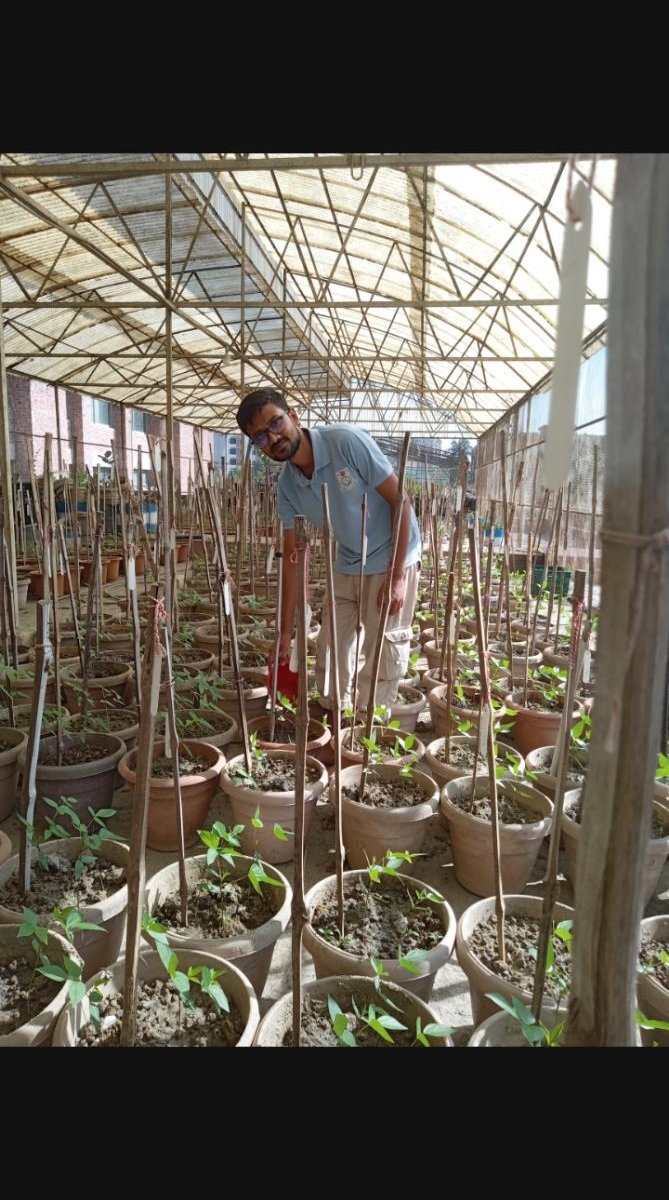 Nursery pots