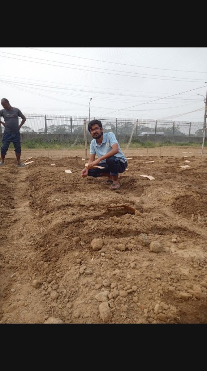 Trial plot layout