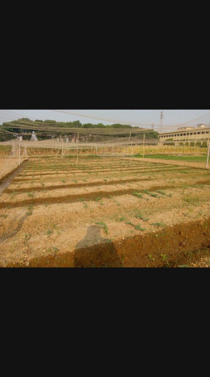 Protected trial plots